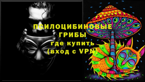 молекула духа Алзамай