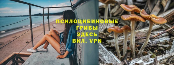 молекула духа Алзамай