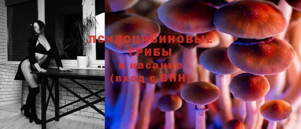 гидра Алексеевка