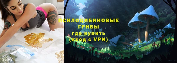 гидра Алексеевка