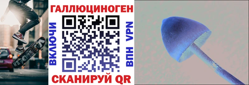 Псилоцибиновые грибы мицелий  Чехов 